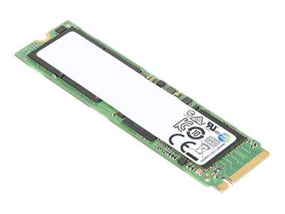 ThinkPad 256GB M.2 2280 PCIe NVMe 4x4